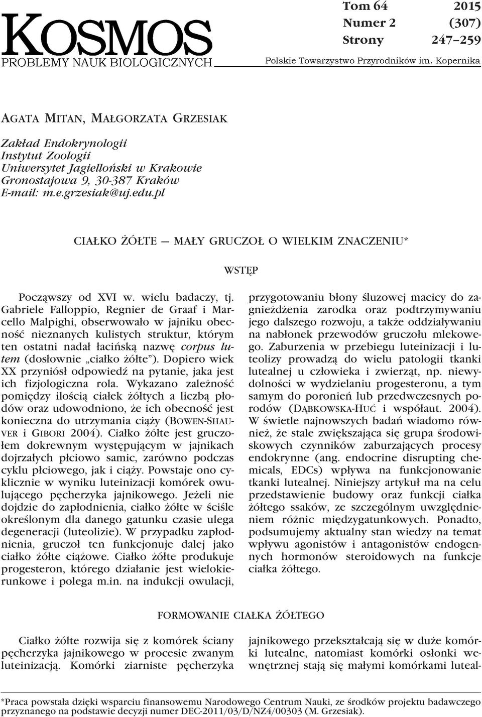 Gabriele Falloppio, Regnier de Graaf i Marcello Malpighi, obserwowało w jajniku obecność nieznanych kulistych struktur, którym ten ostatni nadał łacińską nazwę corpus lutem (dosłownie ciałko żółte ).
