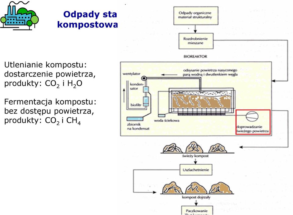 produkty: CO 2 i H 2 O Fermentacja