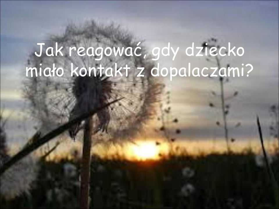 miało kontakt