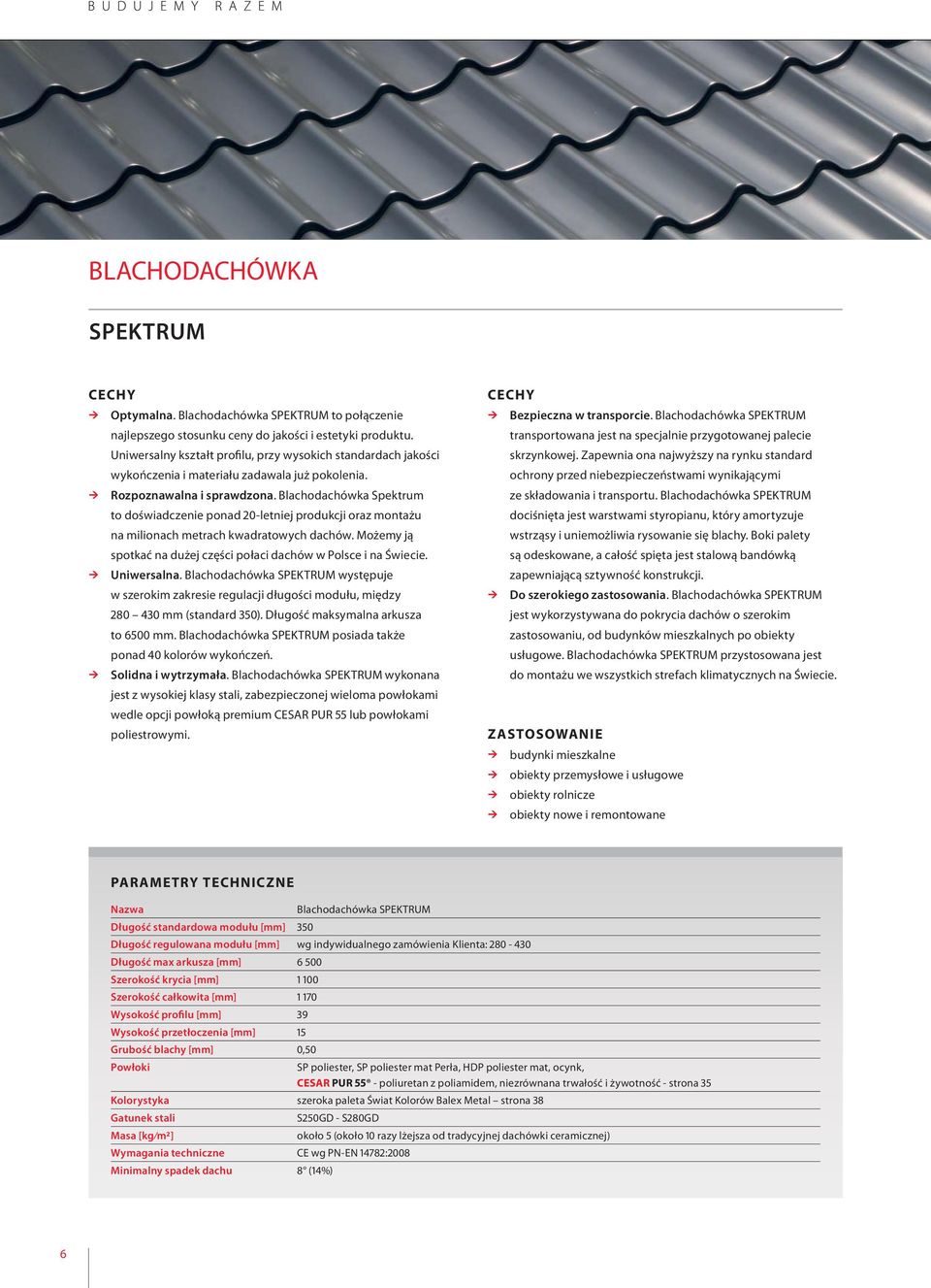 Blachodachówka Spektrum to doświadczenie ponad 20-letniej produkcji oraz montażu na milionach metrach kwadratowych dachów. Możemy ją spotkać na dużej części połaci dachów w Polsce i na Świecie.