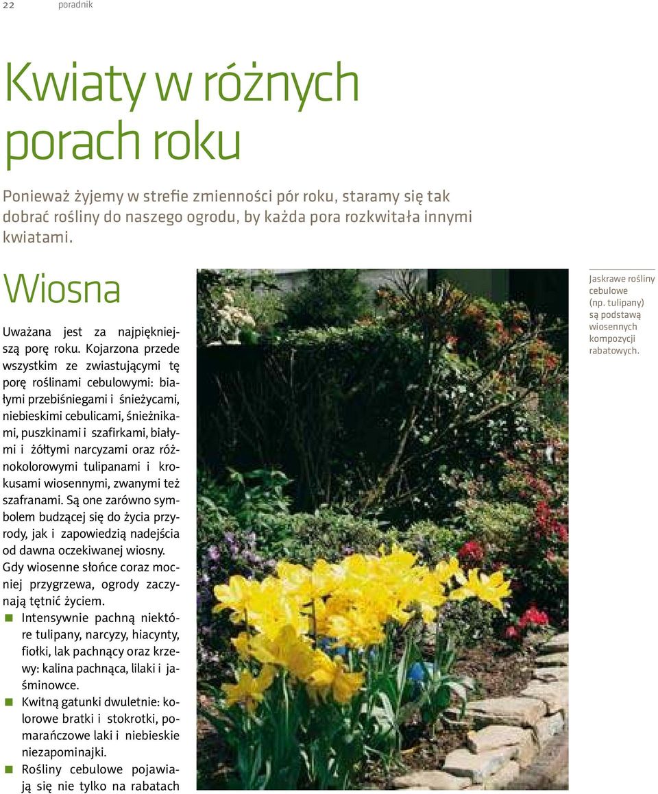 Kojarzona przede wszystkim ze zwiastującymi tę porę roślinami cebulowymi: białymi przebiśniegami i śnieżycami, niebieskimi cebulicami, śnieżnikami, puszkinami i szairkami, białymi i żółtymi narcyzami