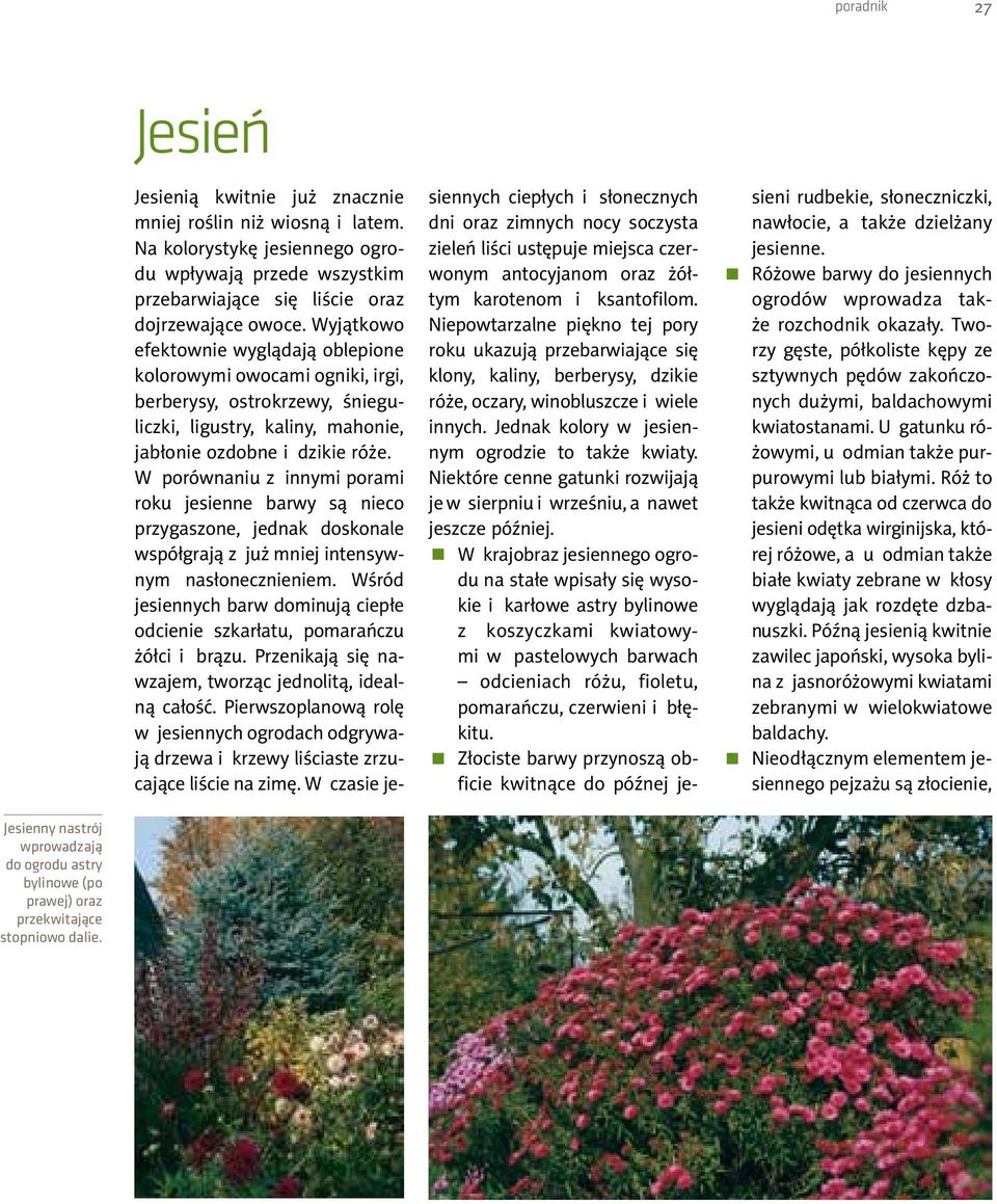 W porównaniu z innymi porami roku jesienne barwy są nieco przygaszone, jednak doskonale współgrają z już mniej intensywnym nasłonecznieniem.