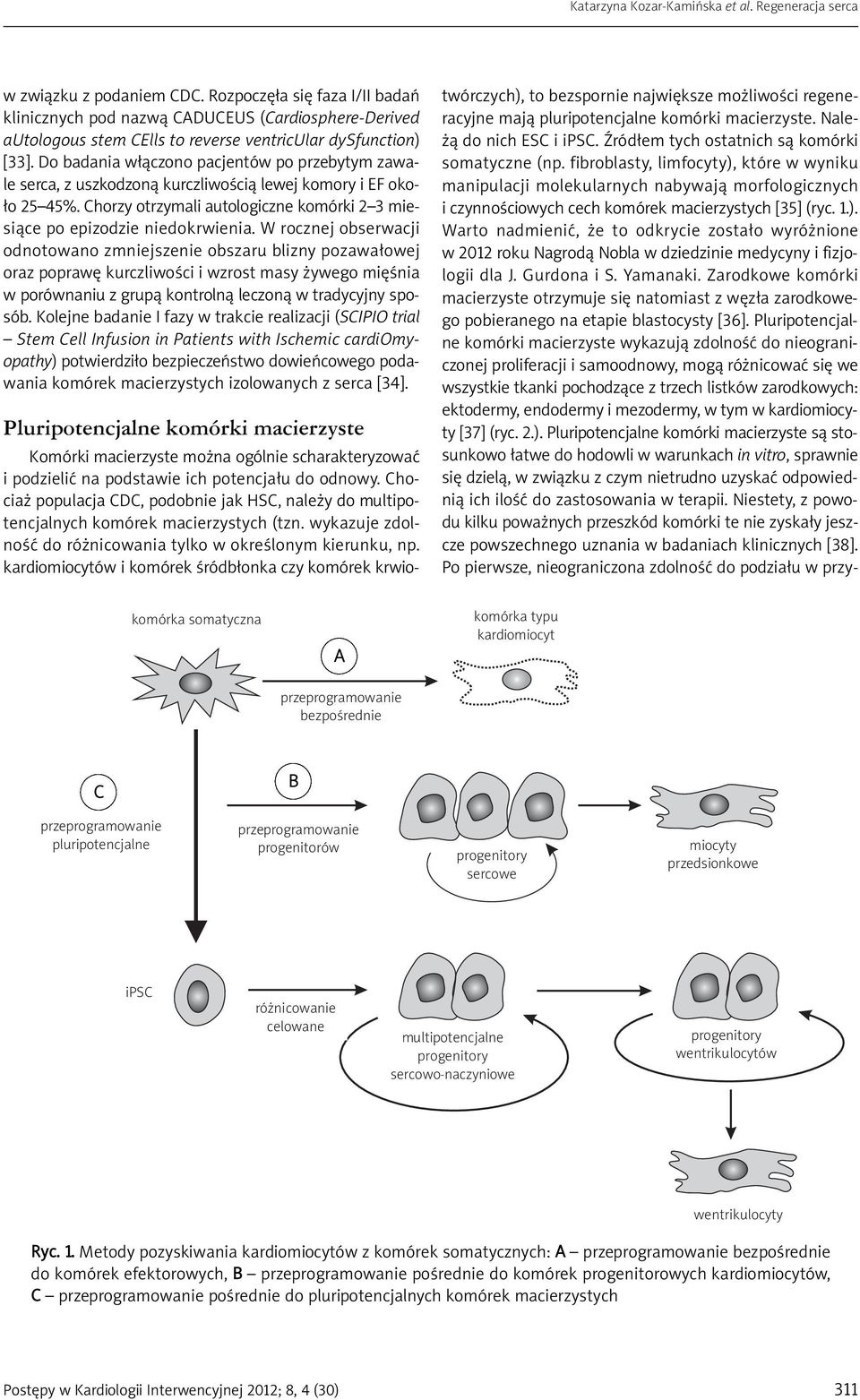 W rocznej obserwacji odnotowano zmniejszenie obszaru blizny pozawałowej oraz poprawę kurczliwości i wzrost masy żywego mięśnia w porównaniu z grupą kontrolną leczoną w tradycyjny sposób.