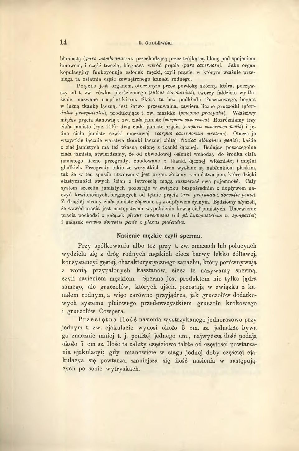 Prącie je st organem, otoczonym przez powłokę skórną, która, począwszy od t. zw. rówka pierścionnego (sulcus coronarius), tworzy fałdziste w ydłużenie, nazwane napletkiem.