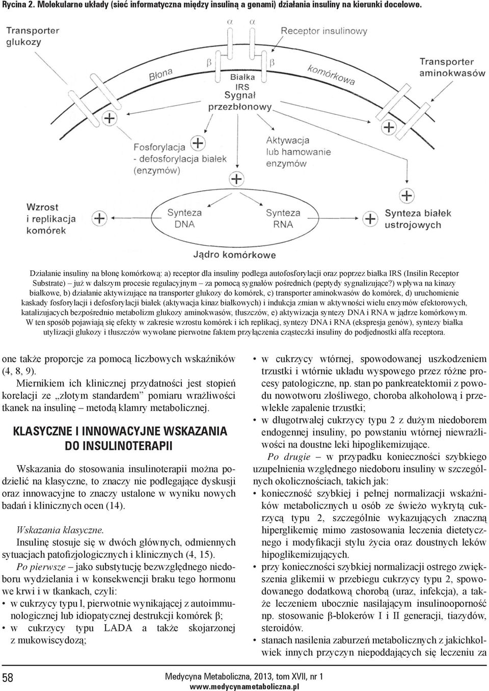 pośrednich (peptydy sygnalizujące?