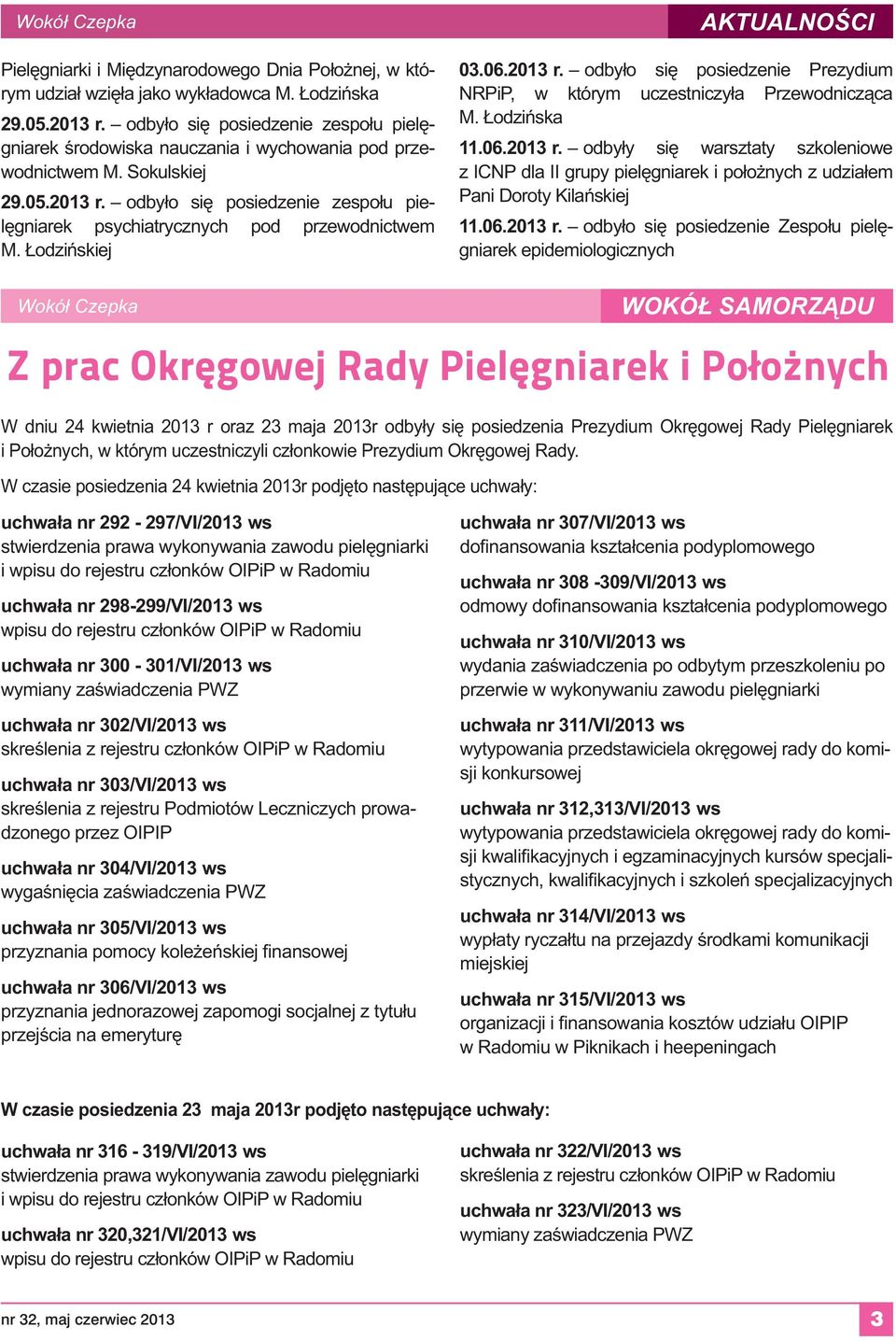Pielęgniarek i