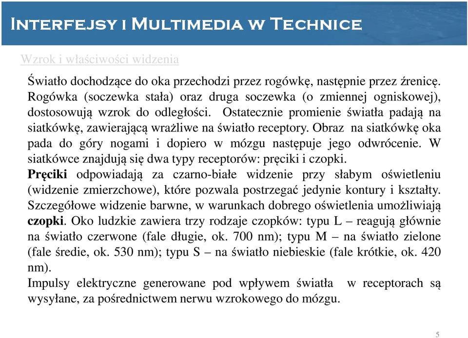 Obraz na siatkówkę oka pada do góry nogami i dopiero w mózgu następuje jego odwrócenie. W siatkówce znajdują się dwa typy receptorów: pręciki i czopki.