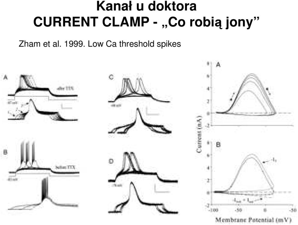 robią jony Zham et al.