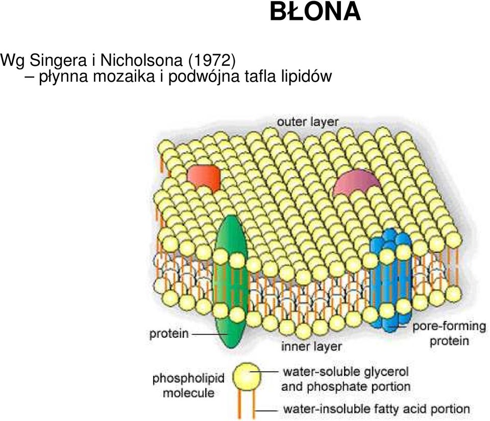 płynna mozaika i