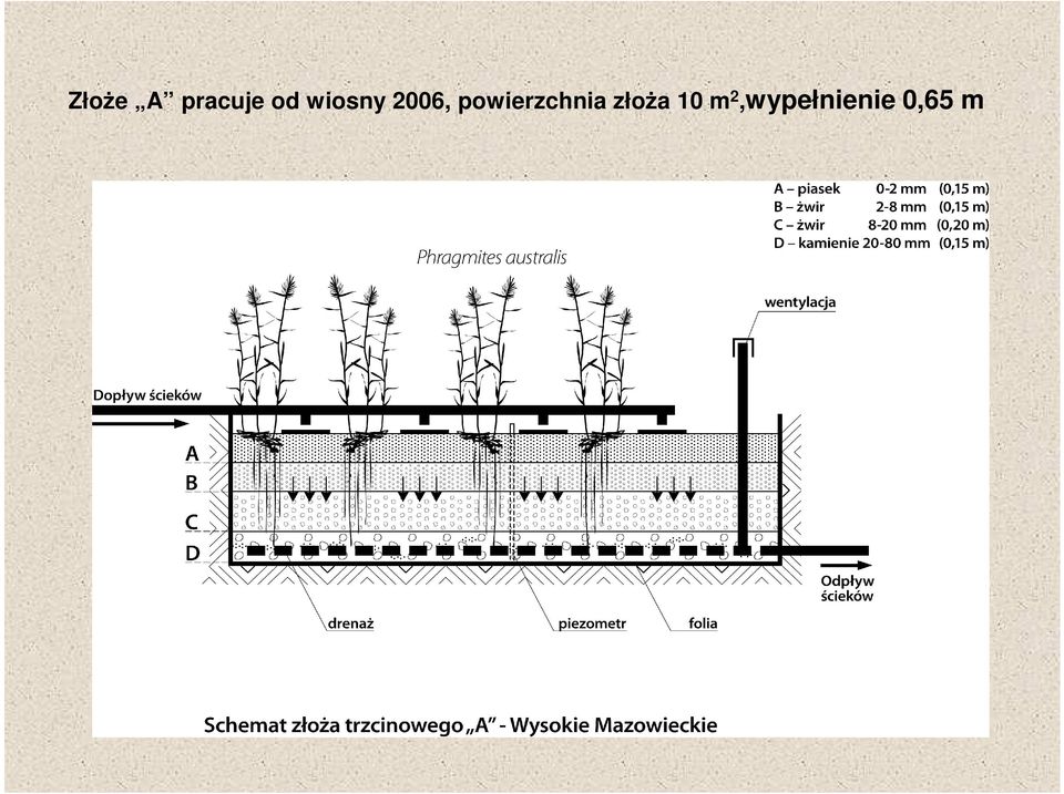 powierzchnia złoża