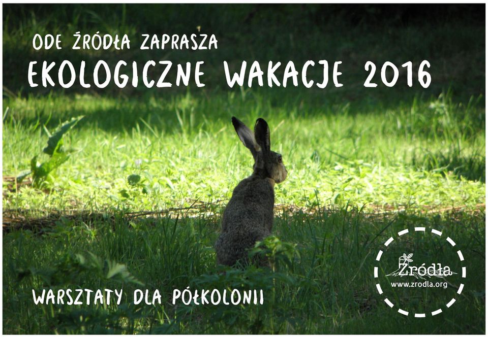 2016 warsztaty Dla