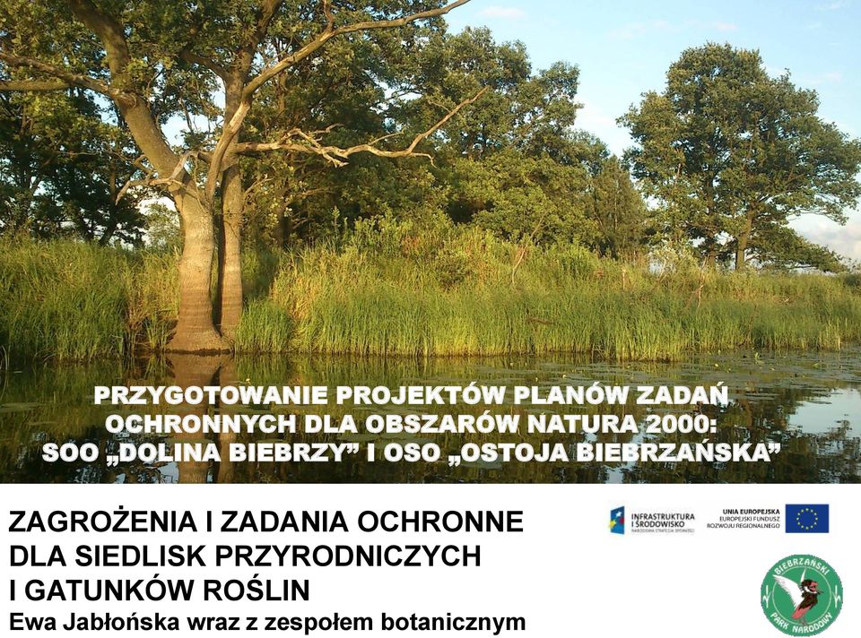 BIEBRZAŃSKA ZAGROŻENIA I ZADANIA OCHRONNE DLA SIEDLISK