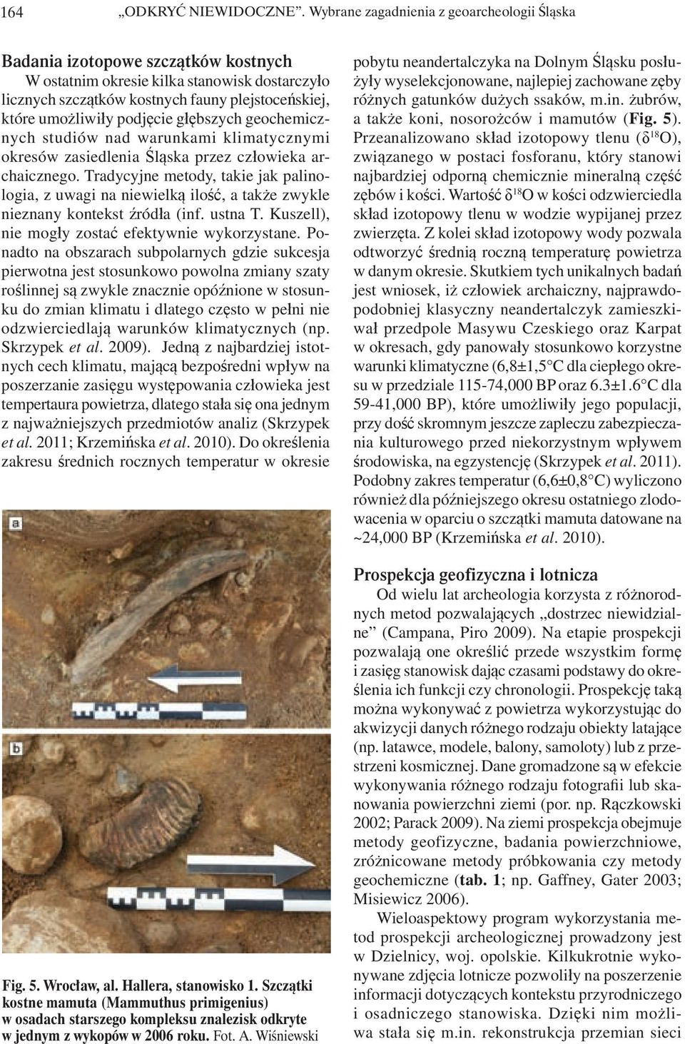 podjęcie głębszych geochemicznych studiów nad warunkami klimatycznymi okresów zasiedlenia Śląska przez człowieka archaicznego.