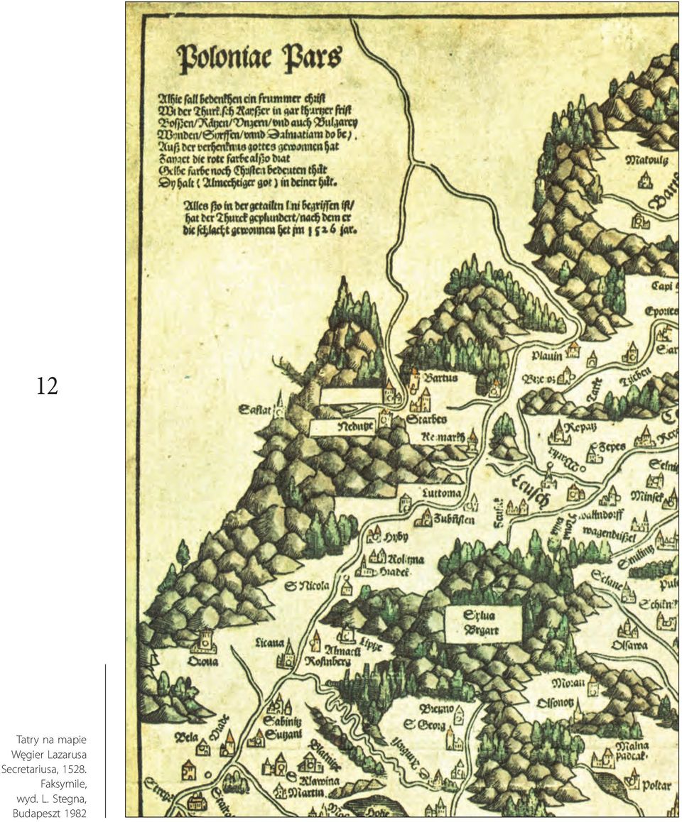 Secretariusa, 1528.