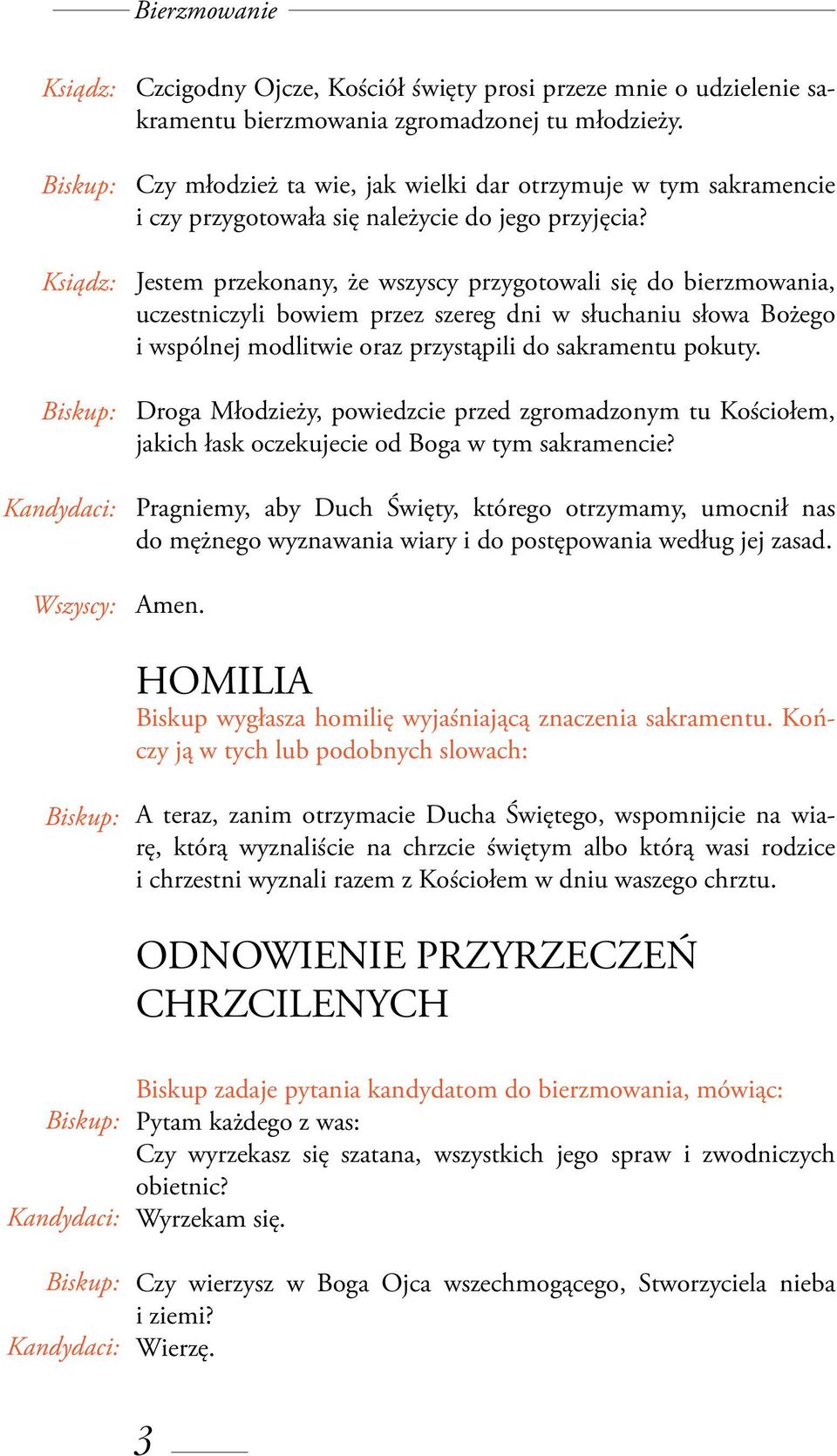 Jestem przekonany, że wszyscy przygotowali się do bierzmowania, uczestniczyli bowiem przez szereg dni w słuchaniu słowa Bożego i wspólnej modlitwie oraz przystąpili do sakramentu pokuty.