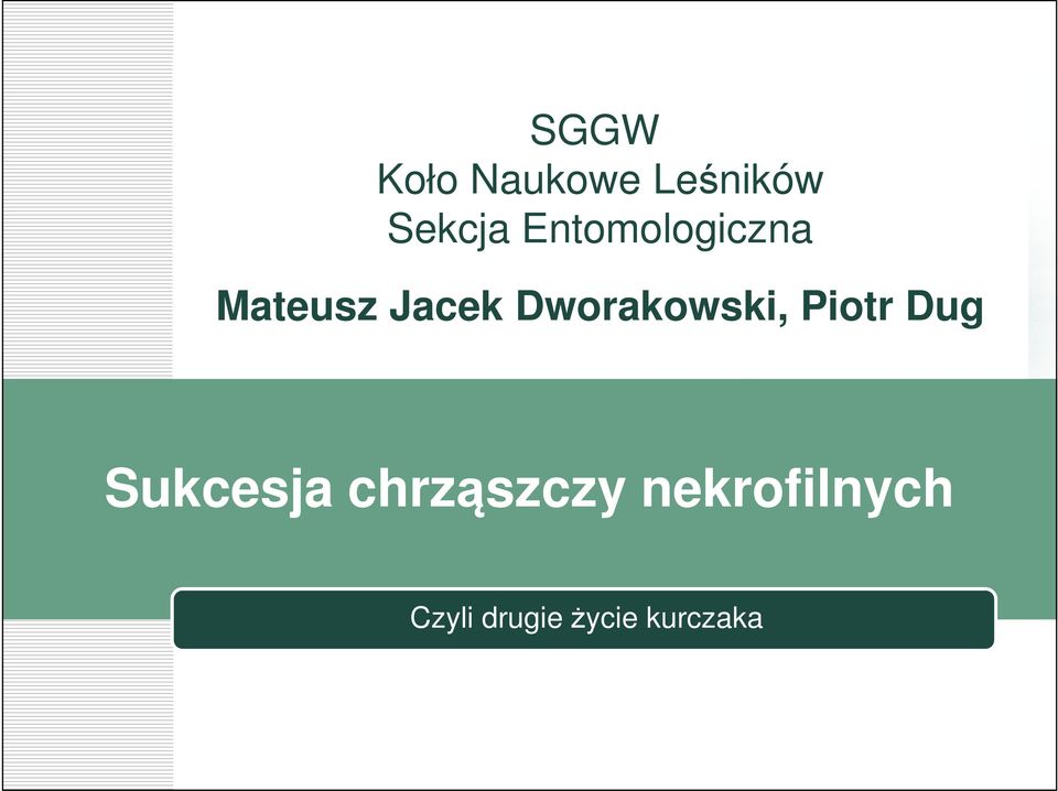Dworakowski, Piotr Dug Sukcesja