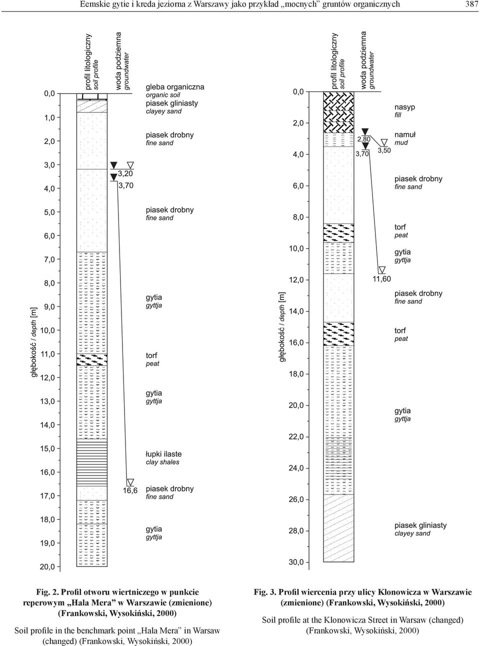 profile in the benchmark point Hala Mera in Warsaw (changed) (Frankowski, Wysokiński, 2000) Fig. 3.