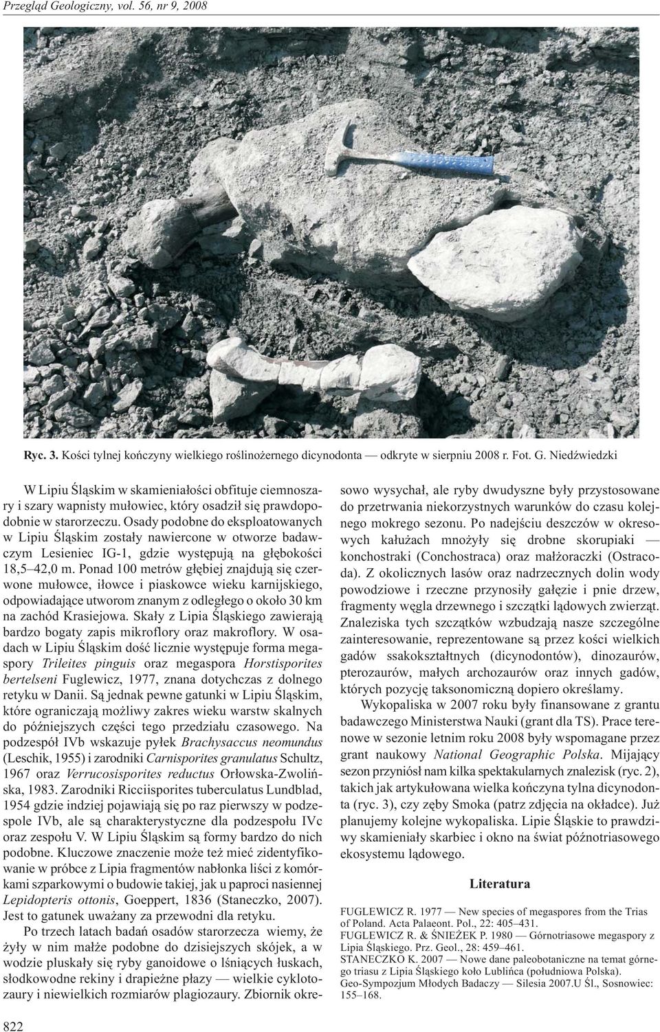 Ponad 100 metrów g³êbiej znajduj¹ siê czerwone mu³owce, i³owce i piaskowce wieku karnijskiego, odpowiadaj¹ce utworom znanym z odleg³ego o oko³o 30 km na zachód Krasiejowa.