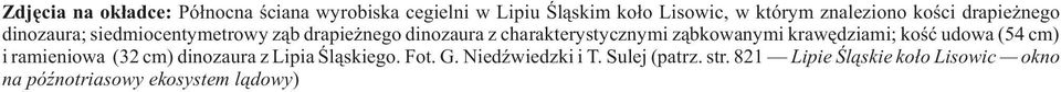 charakterystycznymi z¹bkowanymi krawêdziami; koœæ udowa (54 cm) i ramieniowa (32 cm) dinozaura z Lipia