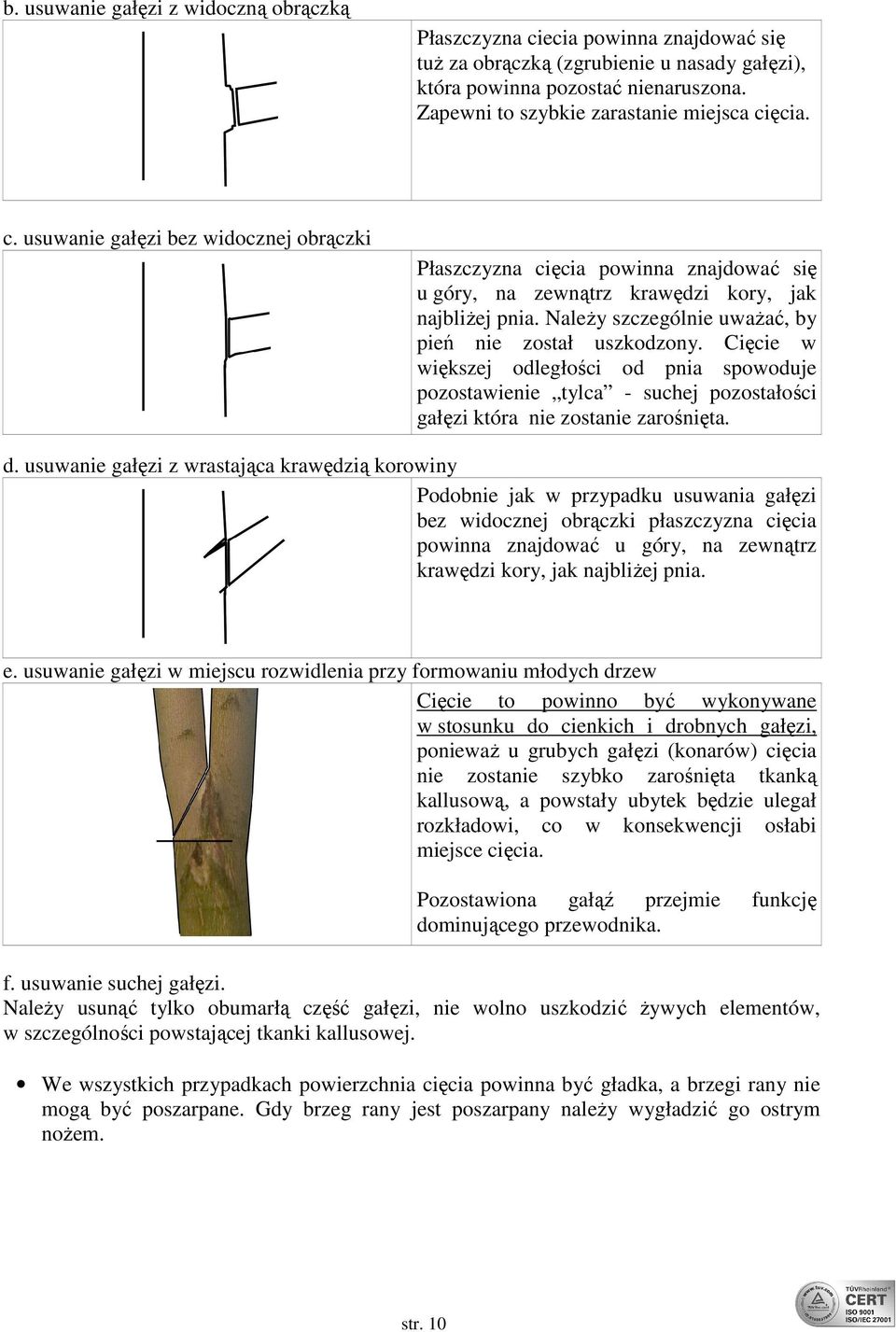 Należy szczególnie uważać, by pień nie został uszkodzony. Cięcie w większej odległości od pnia spowoduje pozostawienie tylca - suchej pozostałości gałęzi która nie zostanie zarośnięta. d.