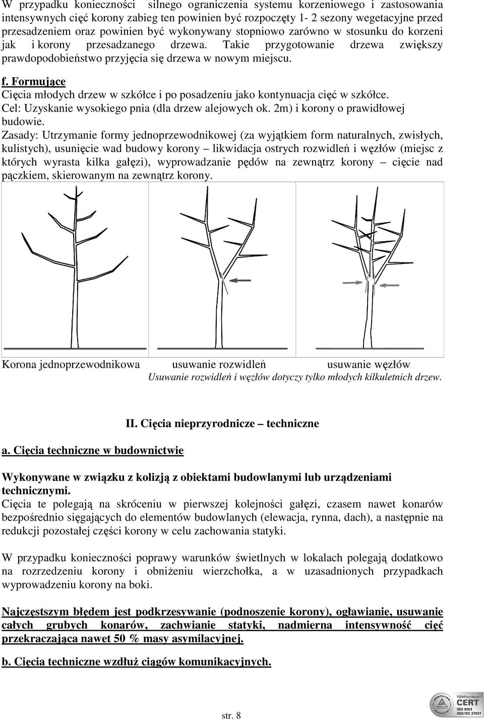 Formujące Cięcia młodych drzew w szkółce i po posadzeniu jako kontynuacja cięć w szkółce. Cel: Uzyskanie wysokiego pnia (dla drzew alejowych ok. 2m) i korony o prawidłowej budowie.