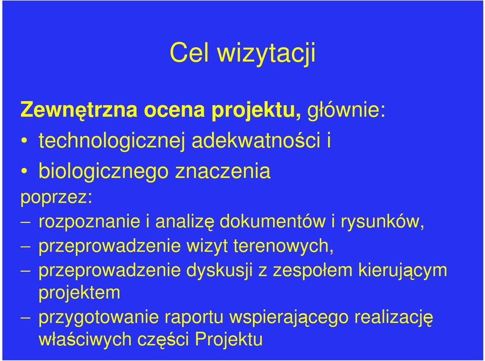 przeprowadzenie wizyt terenowych, przeprowadzenie dyskusji z zespołem kierującym