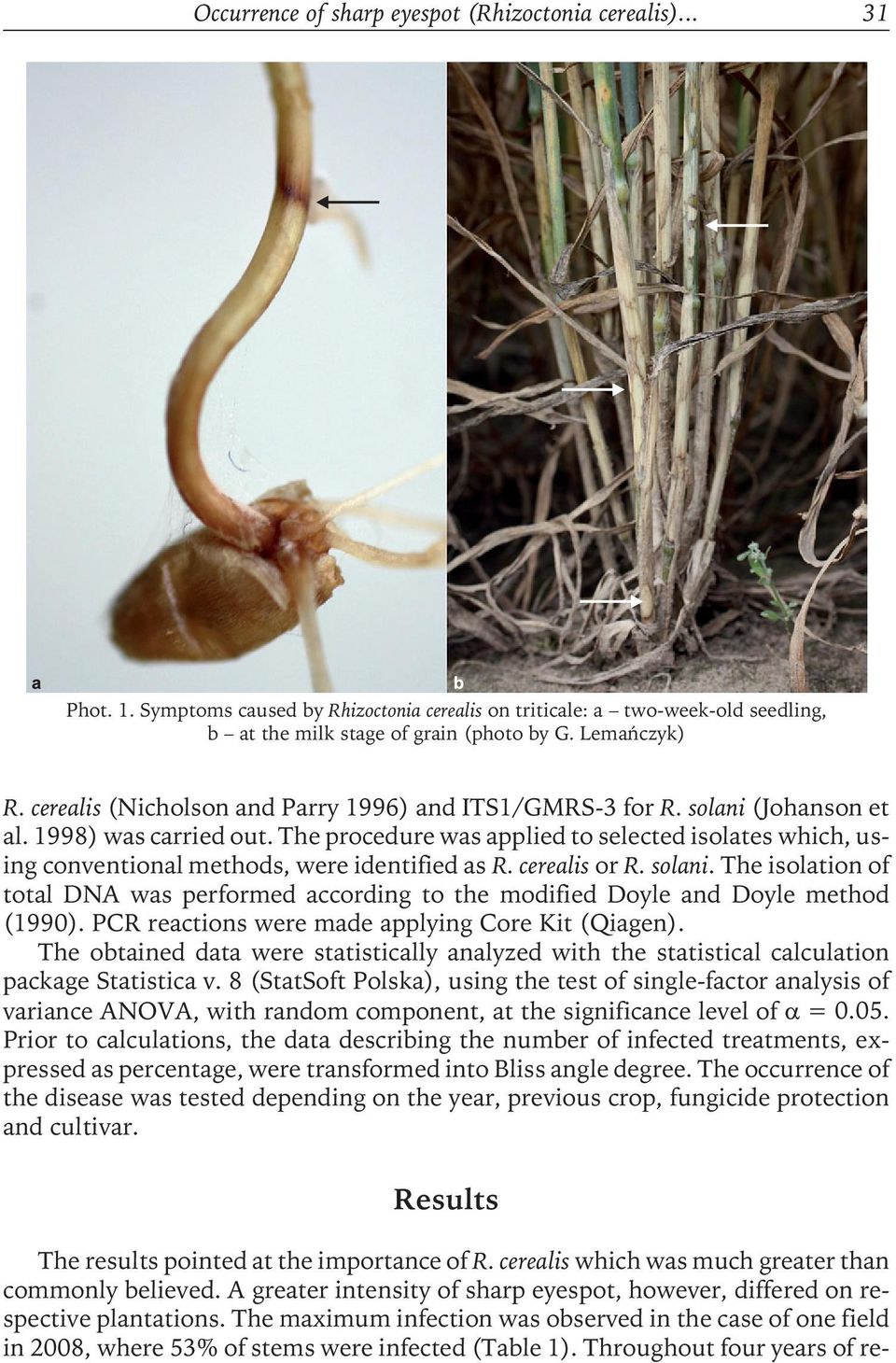 The procedure was applied to selected isolates which, using conventional methods, were identified as R. cerealis or R. solani.