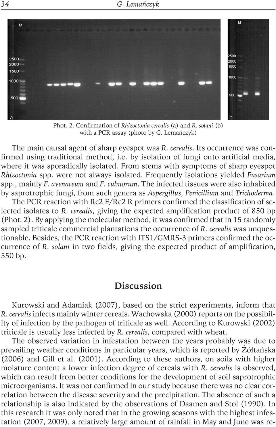 Frequently isolations yielded Fusarium spp., mainly F. avenaceum and F. culmorum.