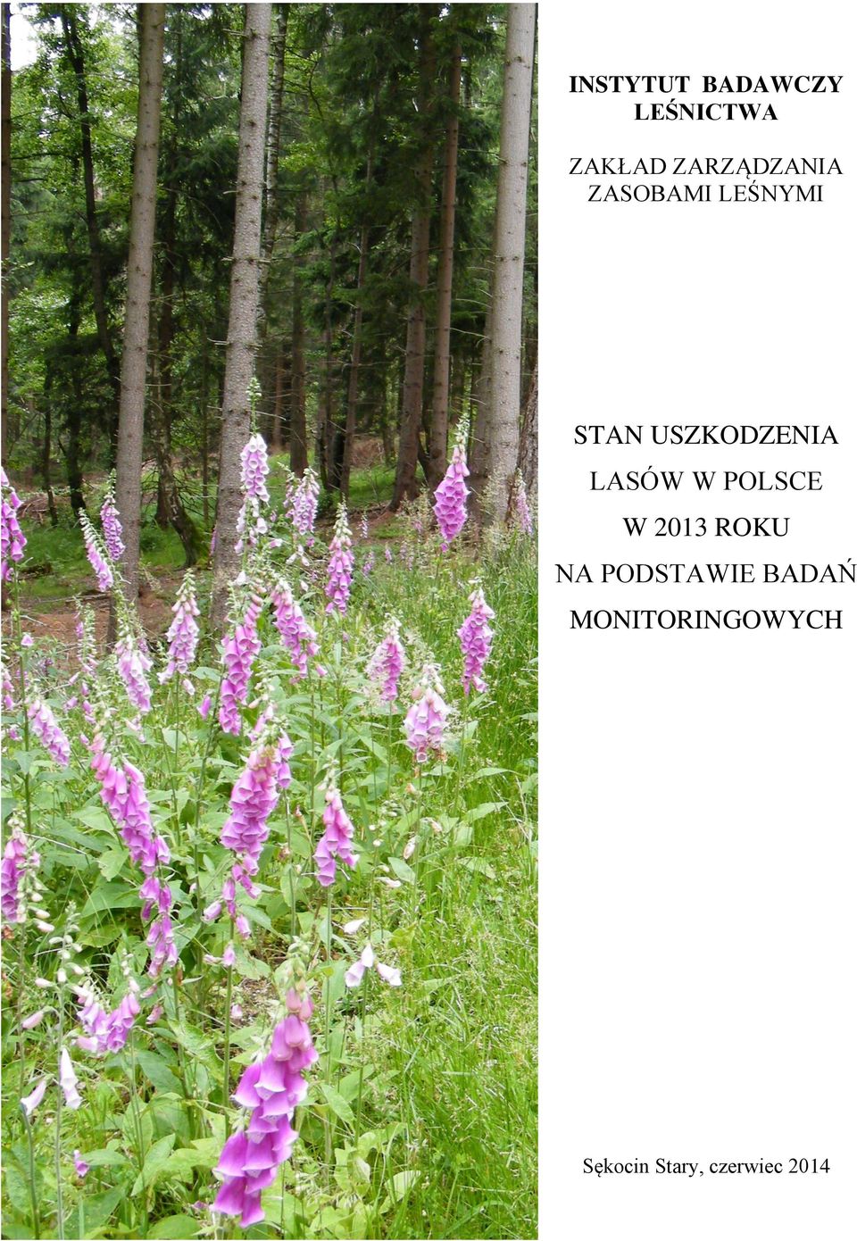 USZKODZENIA LASÓW W POLSCE W 2013 ROKU NA