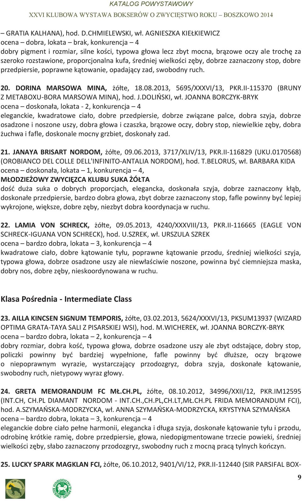średniej wielkości zęby, dobrze zaznaczony stop, dobre przedpiersie, poprawne kątowanie, opadający zad, swobodny ruch. 20. DORINA MARSOWA MINA, żółte, 18.08.2013, 5695/XXXVI/13, PKR.
