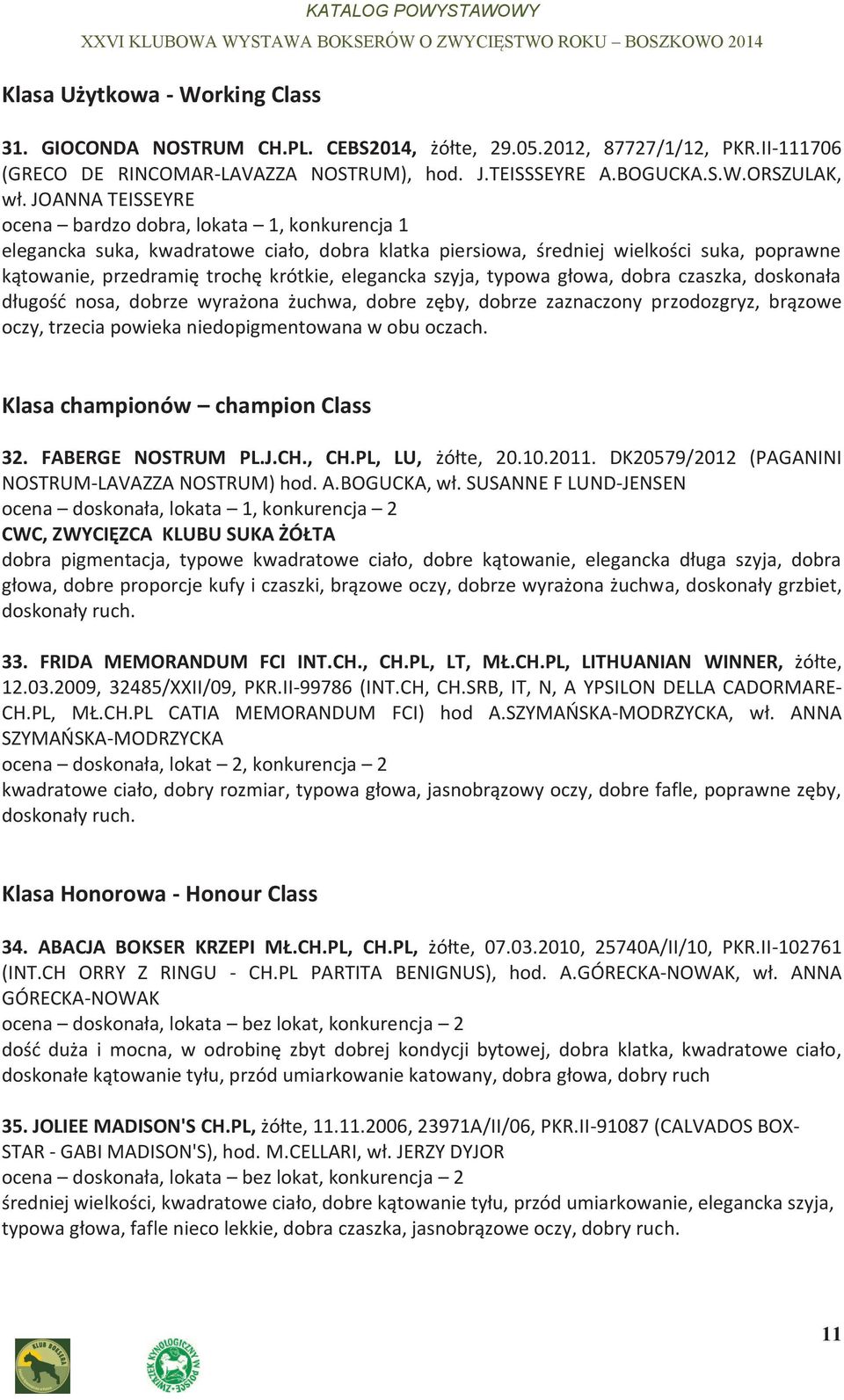 elegancka szyja, typowa głowa, dobra czaszka, doskonała długość nosa, dobrze wyrażona żuchwa, dobre zęby, dobrze zaznaczony przodozgryz, brązowe oczy, trzecia powieka niedopigmentowana w obu oczach.