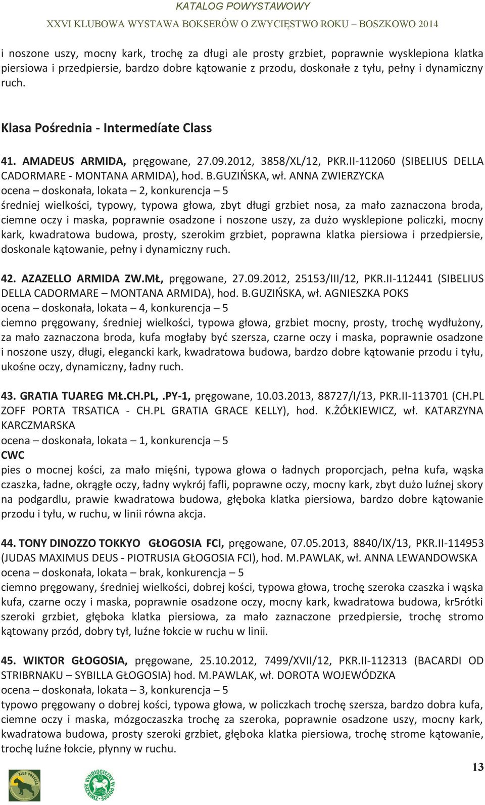 ANNA ZWIERZYCKA ocena doskonała, lokata 2, konkurencja 5 średniej wielkości, typowy, typowa głowa, zbyt długi grzbiet nosa, za mało zaznaczona broda, ciemne oczy i maska, poprawnie osadzone i noszone