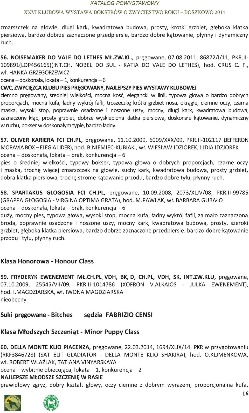 HANKA GRZEGORZEWICZ ocena doskonała, lokata 1, konkurencja 6 CWC, ZWYCIĘZCA KLUBU PIES PRĘGOWANY, NAJLEPSZY PIES WYSTAWY KLUBOWEJ ciemno pręgowany, średniej wielkości, mocna kość, elegancki w linii,