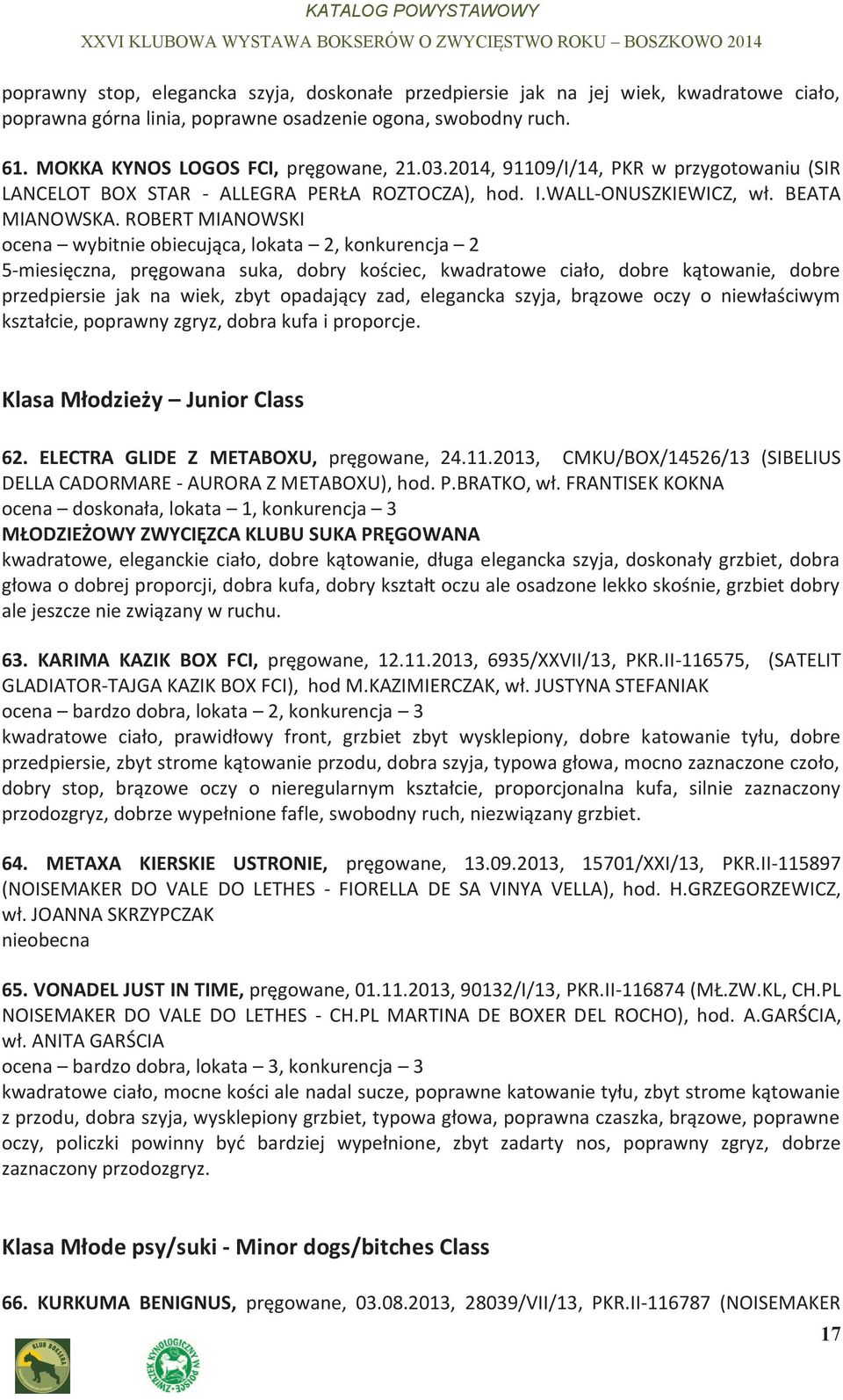 ROBERT MIANOWSKI ocena wybitnie obiecująca, lokata 2, konkurencja 2 5-miesięczna, pręgowana suka, dobry kościec, kwadratowe ciało, dobre kątowanie, dobre przedpiersie jak na wiek, zbyt opadający zad,