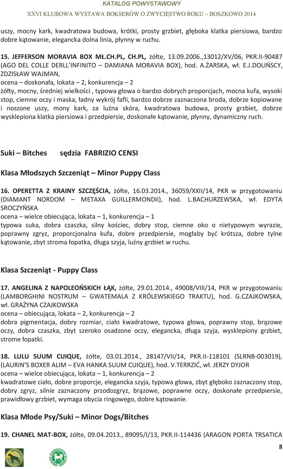 DOLIŃSCY, ZDZISŁAW WAJMAN, ocena doskonała, lokata 2, konkurencja 2 żółty, mocny, średniej wielkości, typowa głowa o bardzo dobrych proporcjach, mocna kufa, wysoki stop, ciemne oczy i maska, ładny