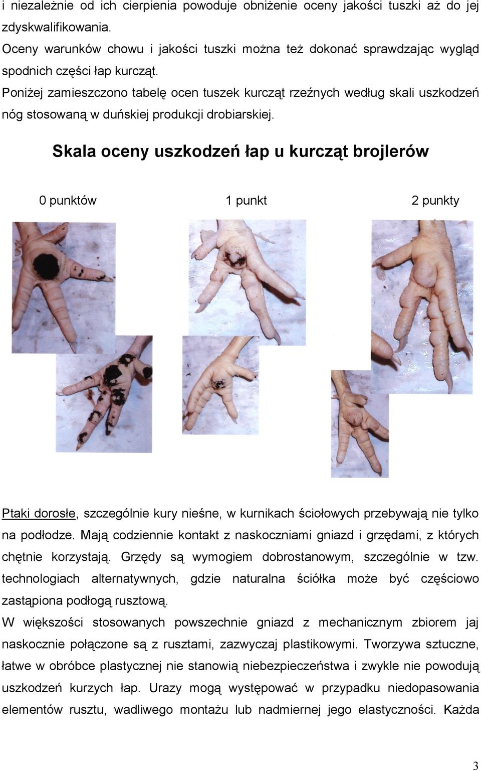 Poniżej zamieszczono tabelę ocen tuszek kurcząt rzeźnych według skali uszkodzeń nóg stosowaną w duńskiej produkcji drobiarskiej.