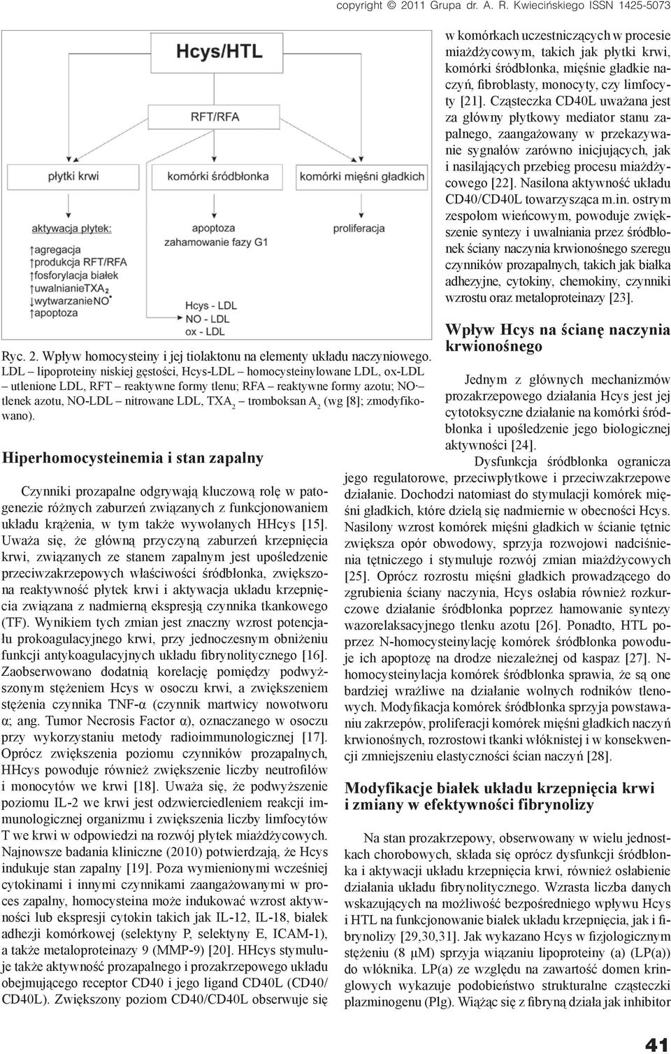 A 2 (wg [8]; zmodyfikowano).