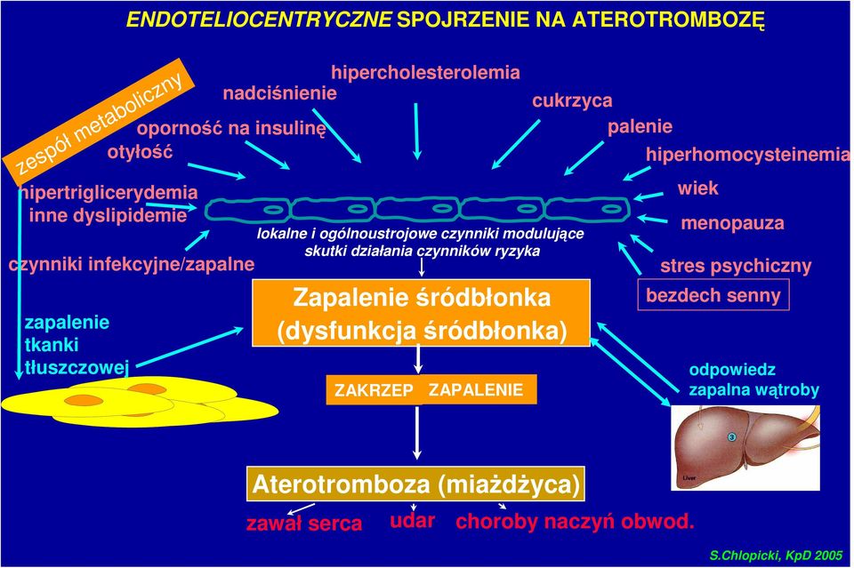 skutki działania czynników ryzyka Zapalenie śródbłonka (dysfunkcja śródbłonka) ZAKRZEP ZAPALENIE cukrzyca palenie hiperhomocysteinemia wiek