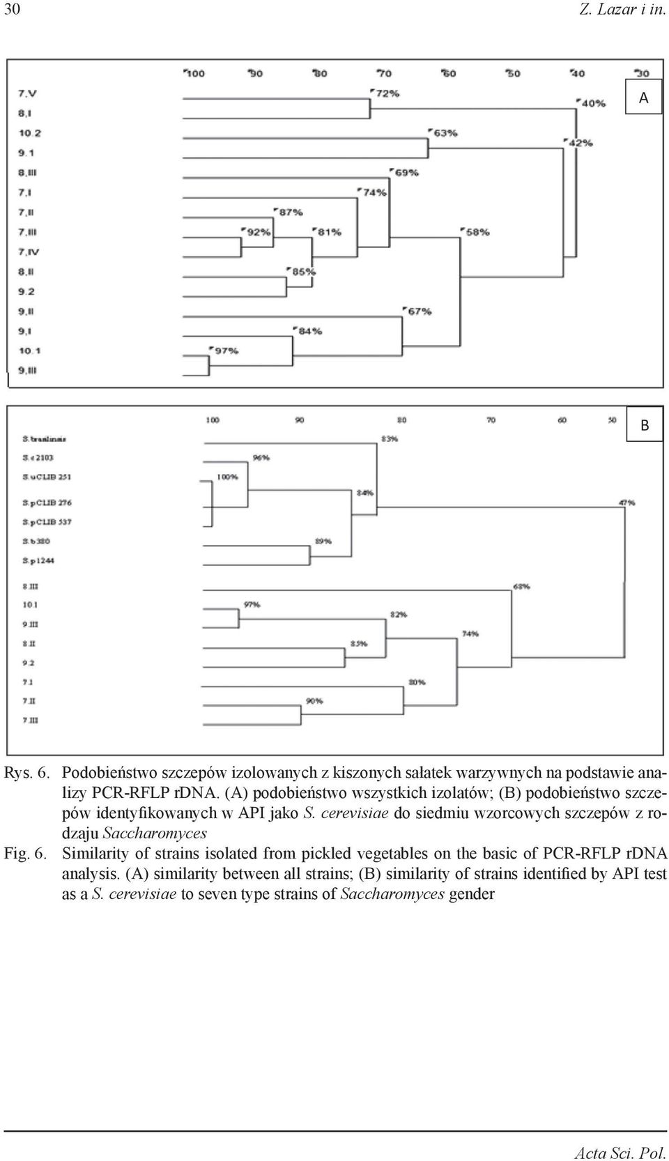 cerevisiae do siedmiu wzorcowych szczepów z rodzaju Saccharomyces Fig. 6.