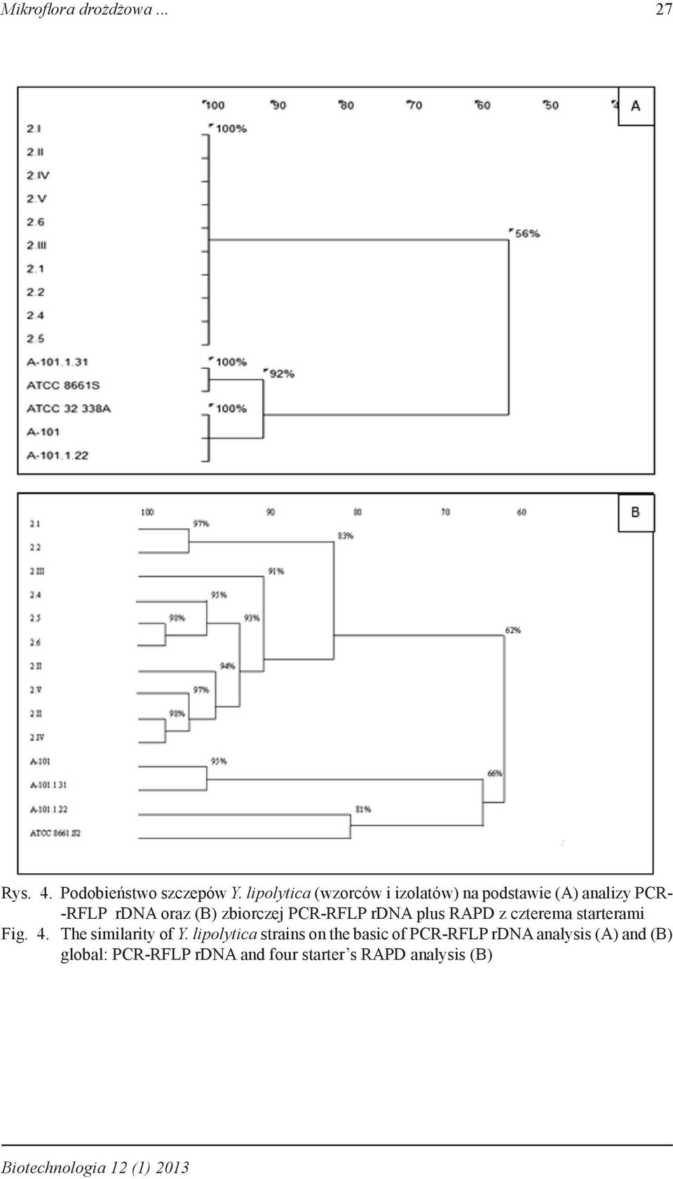 PCR-RFLP rdna plus RAPD z czterema starterami Fig. 4. The similarity of Y.
