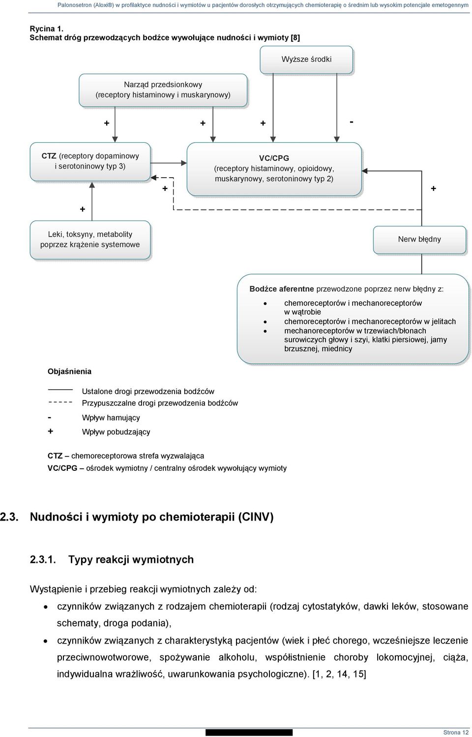 VC/CPG (receptory histaminowy, opioidowy, muskarynowy, serotoninowy typ 2) + + + Leki, toksyny, metabolity poprzez krążenie systemowe Nerw błędny Bodźce aferentne przewodzone poprzez nerw błędny z: