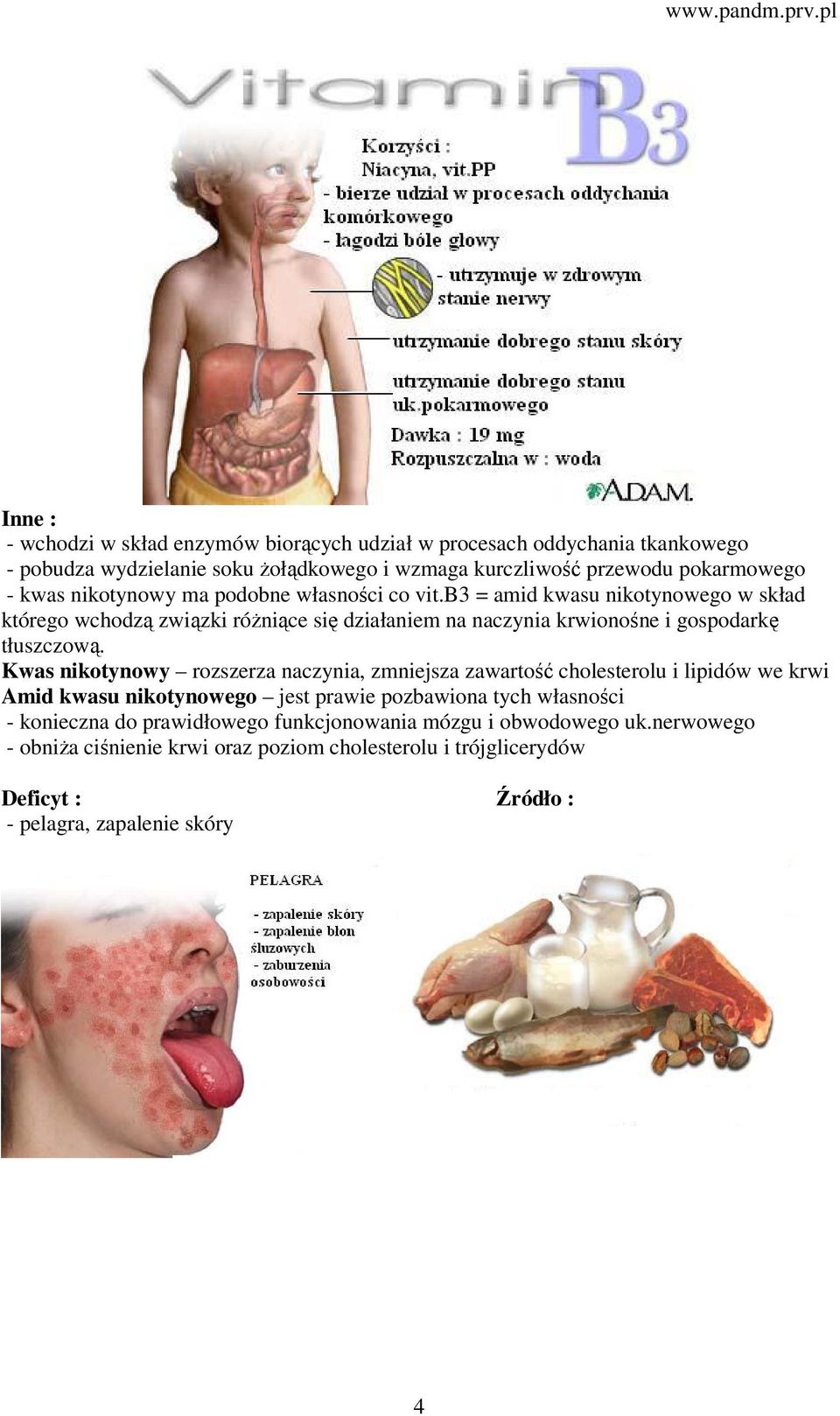 b3 = amid kwasu nikotynowego w skład którego wchodzą związki różniące się działaniem na naczynia krwionośne i gospodarkę tłuszczową.