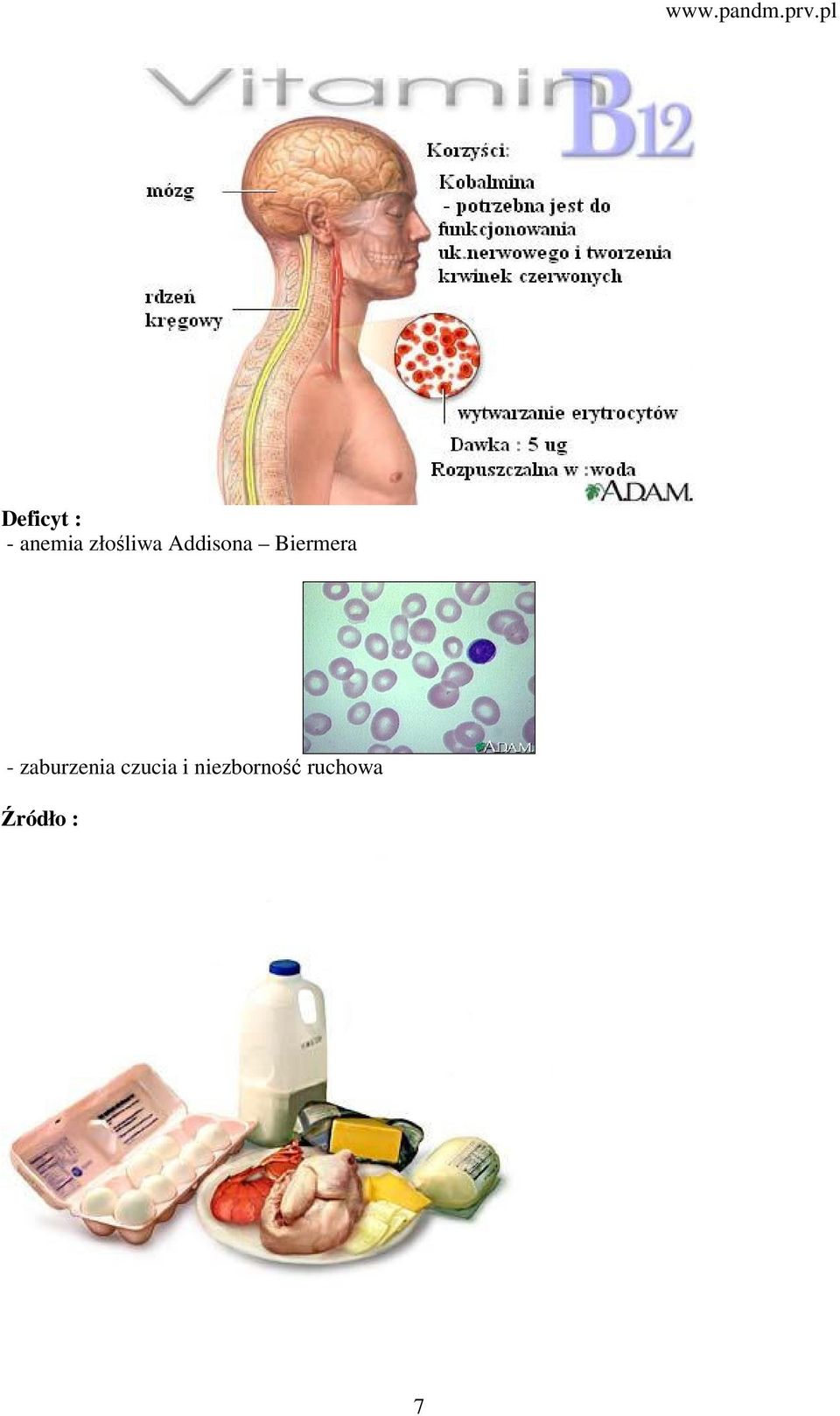 zaburzenia czucia i