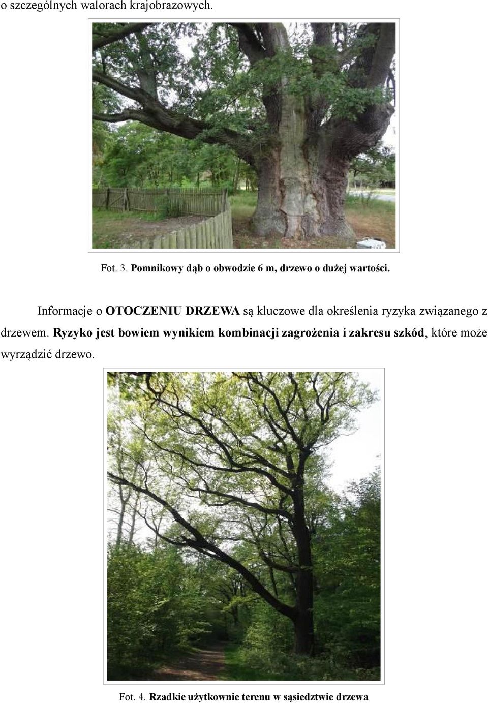 Informacje o OTOCZENIU DRZEWA są kluczowe dla określenia ryzyka związanego z drzewem.