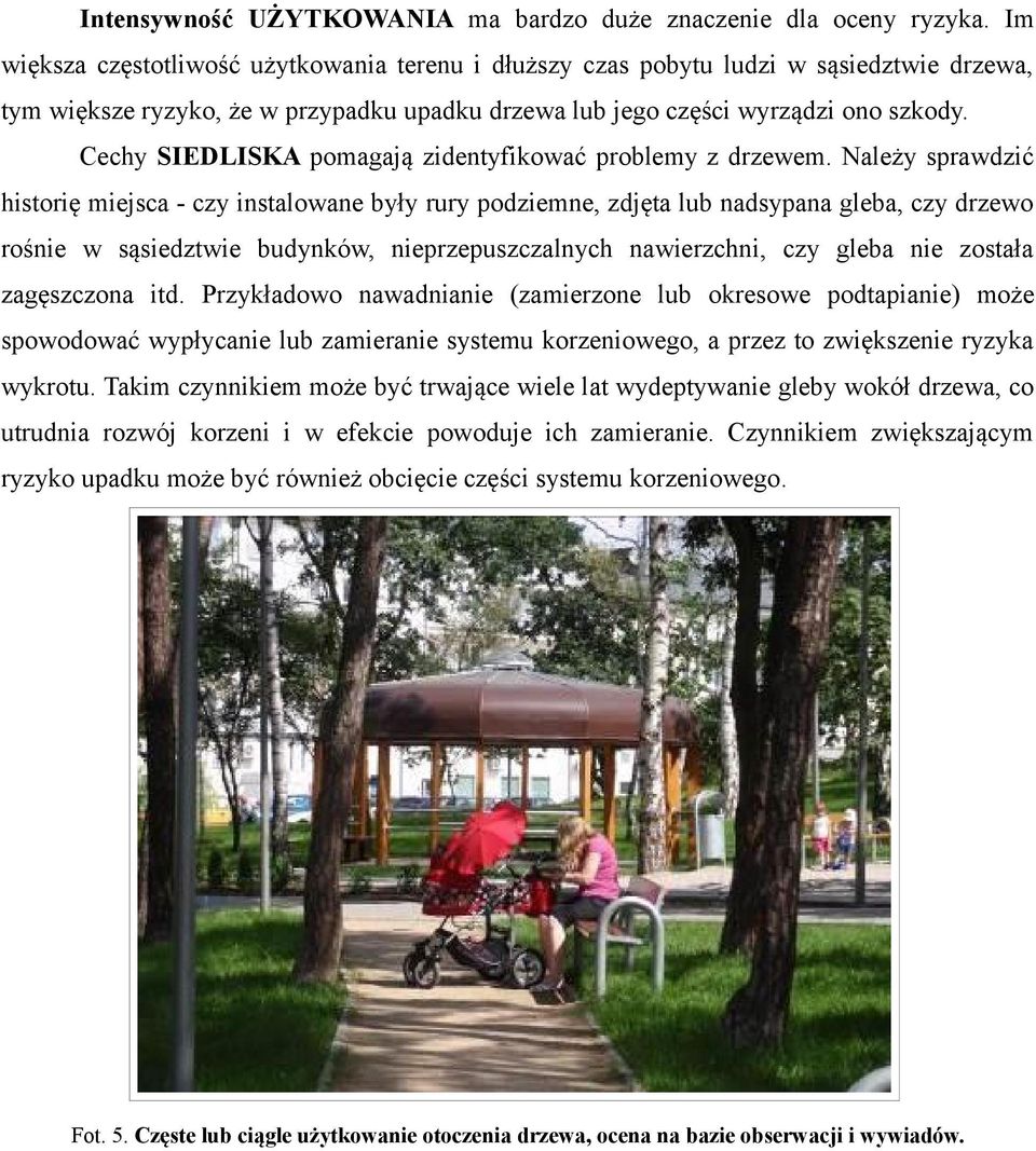 Cechy SIEDLISKA pomagają zidentyfikować problemy z drzewem.