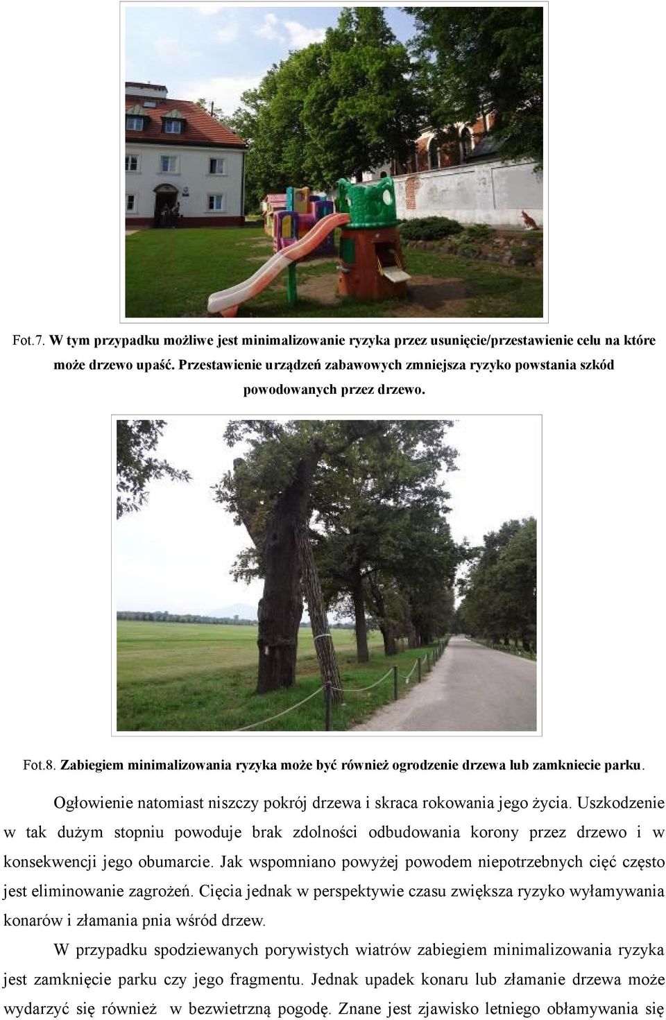 Ogłowienie natomiast niszczy pokrój drzewa i skraca rokowania jego życia. Uszkodzenie w tak dużym stopniu powoduje brak zdolności odbudowania korony przez drzewo i w konsekwencji jego obumarcie.