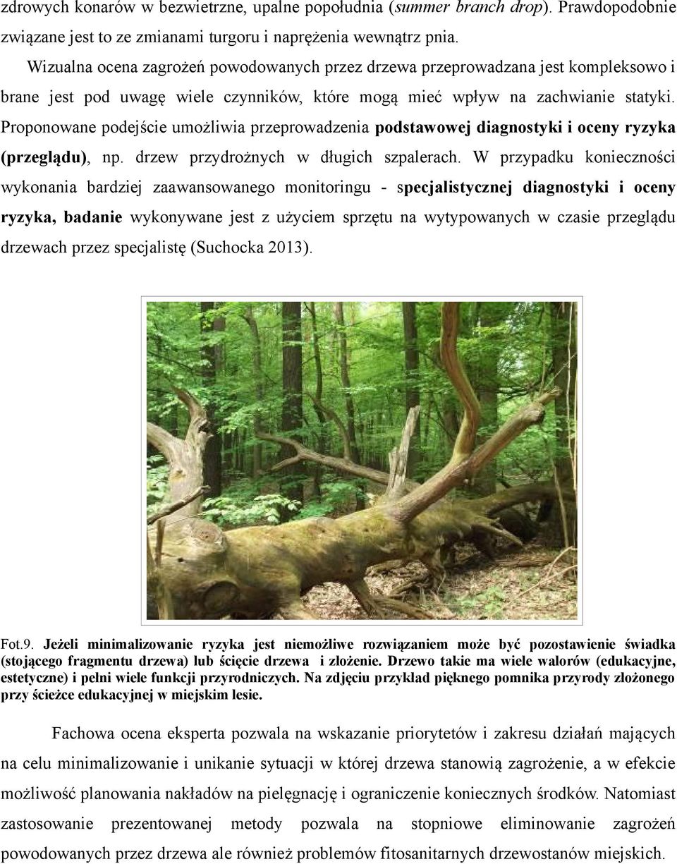 Proponowane podejście umożliwia przeprowadzenia podstawowej diagnostyki i oceny ryzyka (przeglądu), np. drzew przydrożnych w długich szpalerach.