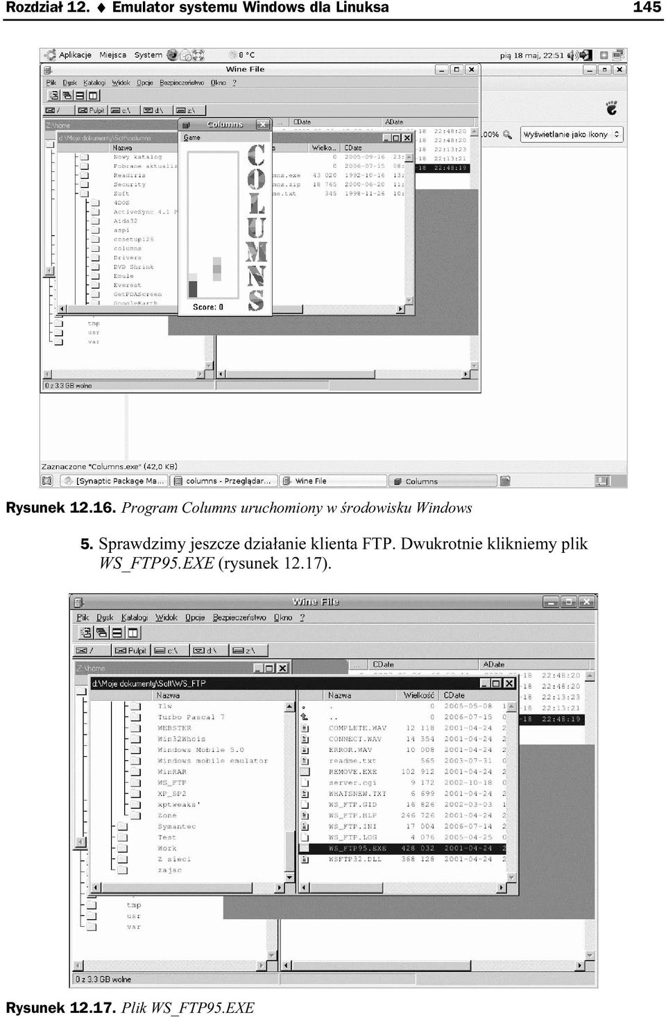Program Columns uruchomiony w środowisku Windows 5.