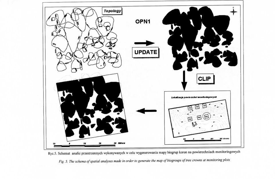mapy biogrup koron na powierzchniach monitoringowych Fig. 5.
