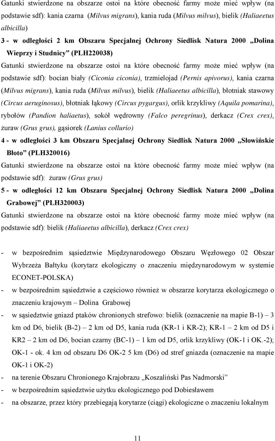 bocian biały (Ciconia ciconia), trzmielojad (Pernis apivorus), kania czarna (Milvus migrans), kania ruda (Milvus milvus), bielik (Haliaeetus albicilla), błotniak stawowy (Circus aeruginosus),